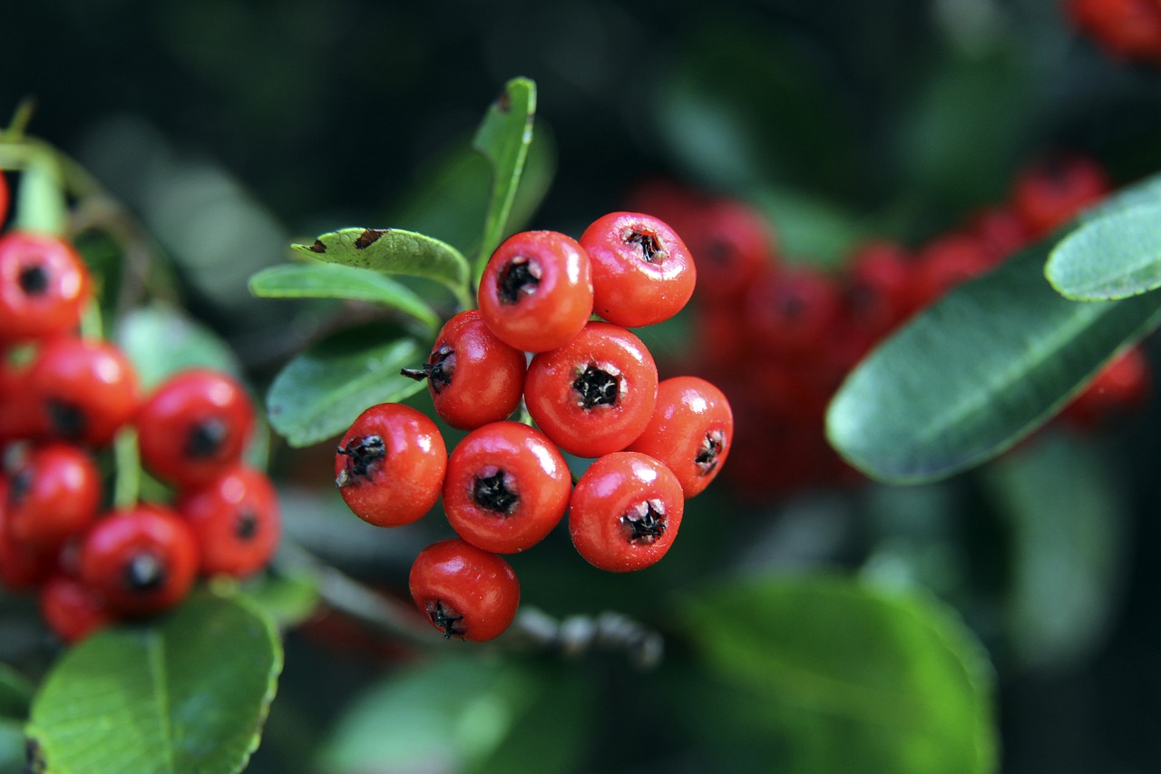 只有6次射 只有6次射
