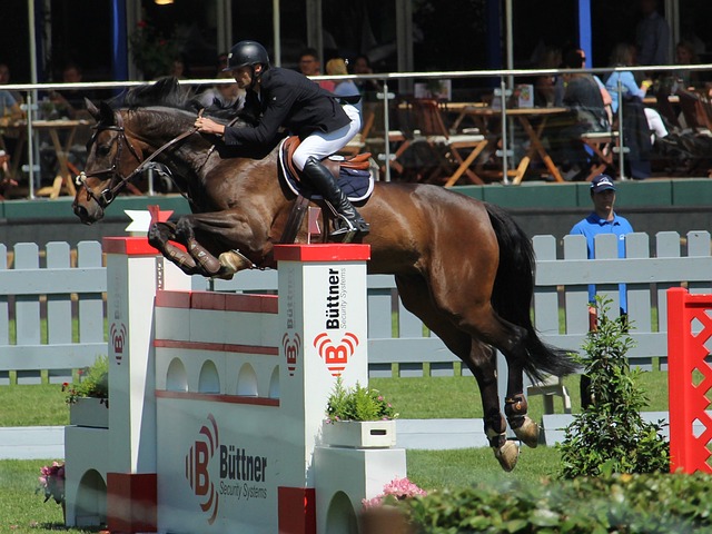 赢得了冠军 赢得了冠军