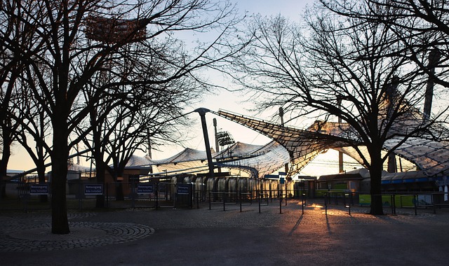 此次比赛不 此次比赛不