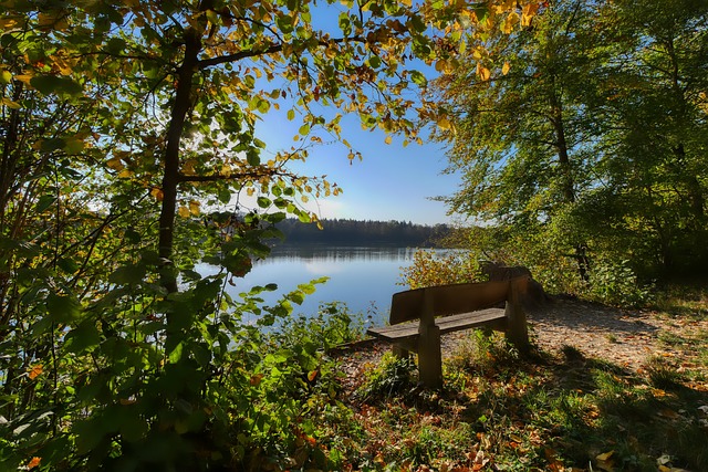 带来了更多 带来了更多